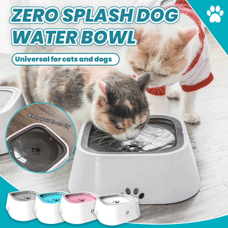 No splash sales cat water bowl