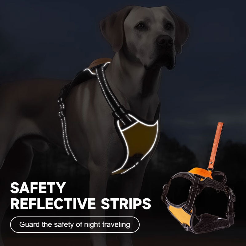🐾2 in 1 Dog Harness with Integrated Leash