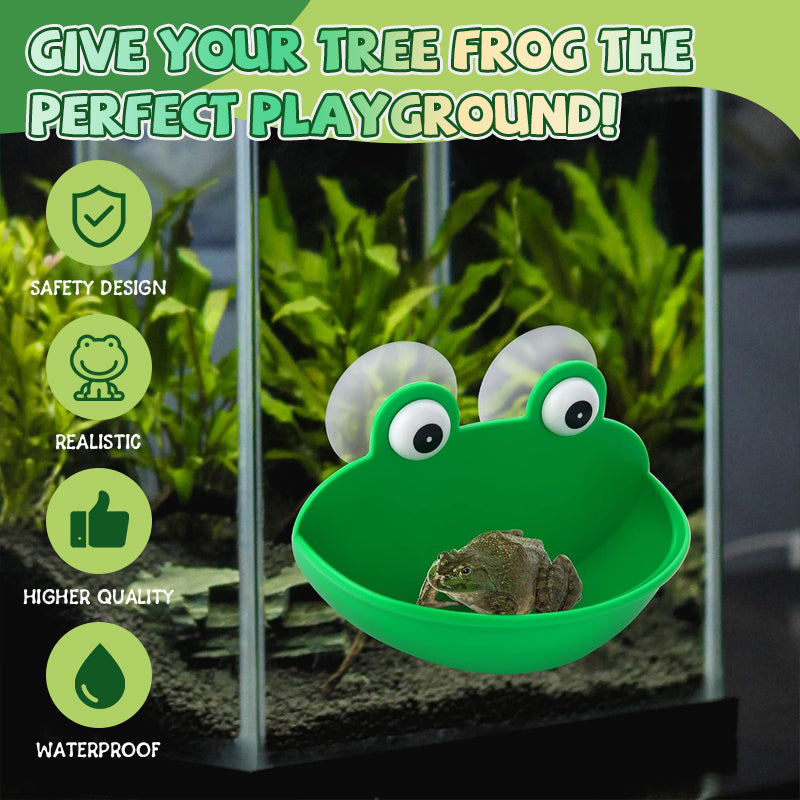 🐸Tree Frog Climbing Platform