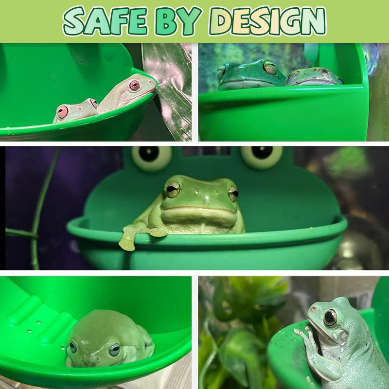 🐸Tree Frog Climbing Platform