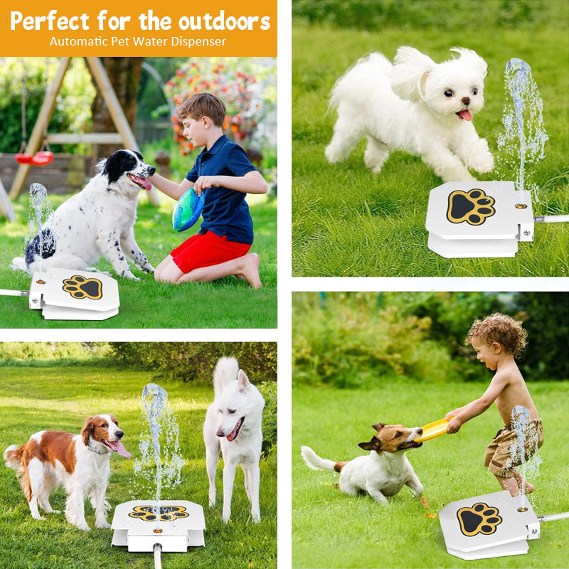 🐾Automatic Pet Water Dispenser