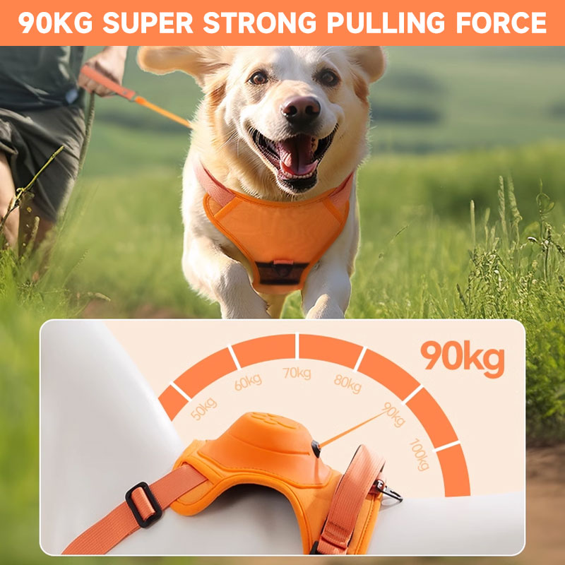 🐾2 in 1 Dog Harness with Integrated Leash