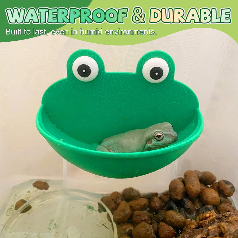 🐸Tree Frog Climbing Platform