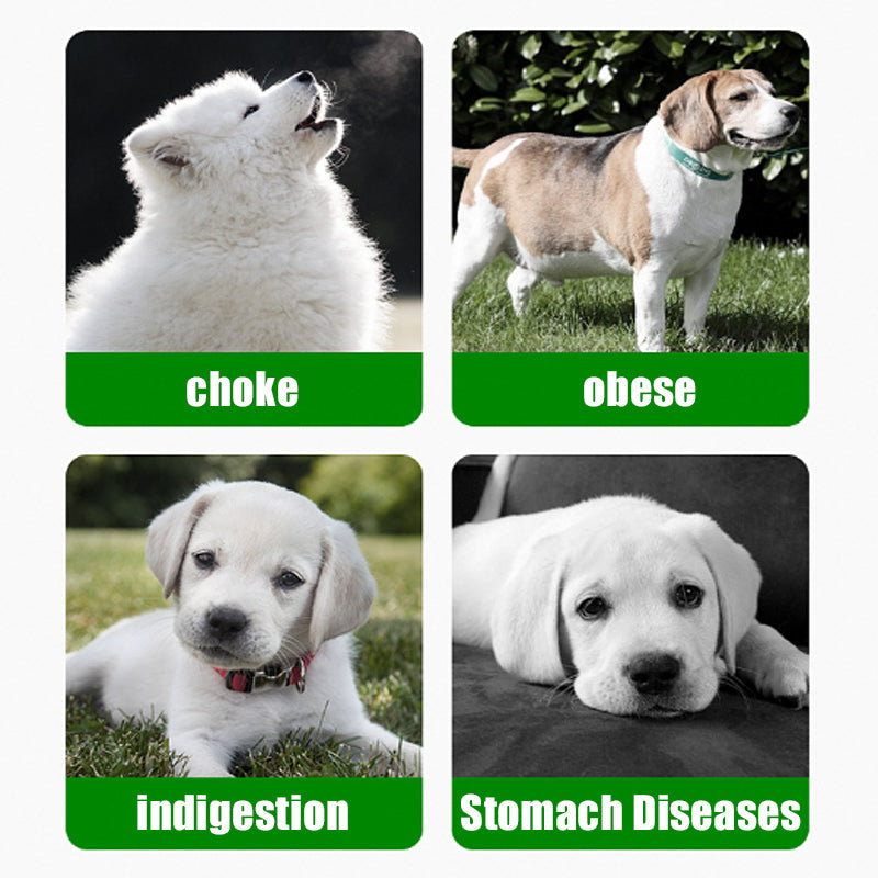 🐾Anti-Choking Slow Feeder Mat for Pets
