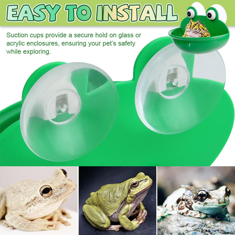 🐸Tree Frog Climbing Platform