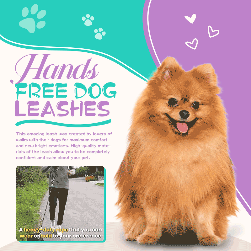 🐾Hands Free Dog Leashes