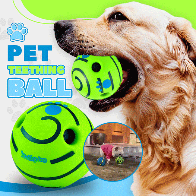 🐾Pet Teething Self-Healing Ball