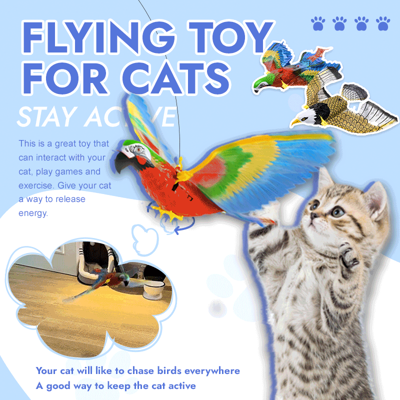Cat Flying Toy