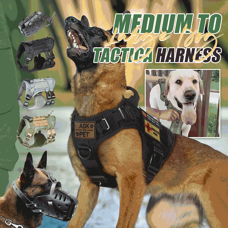 🐾Medium To Large Dog Tactical Harness