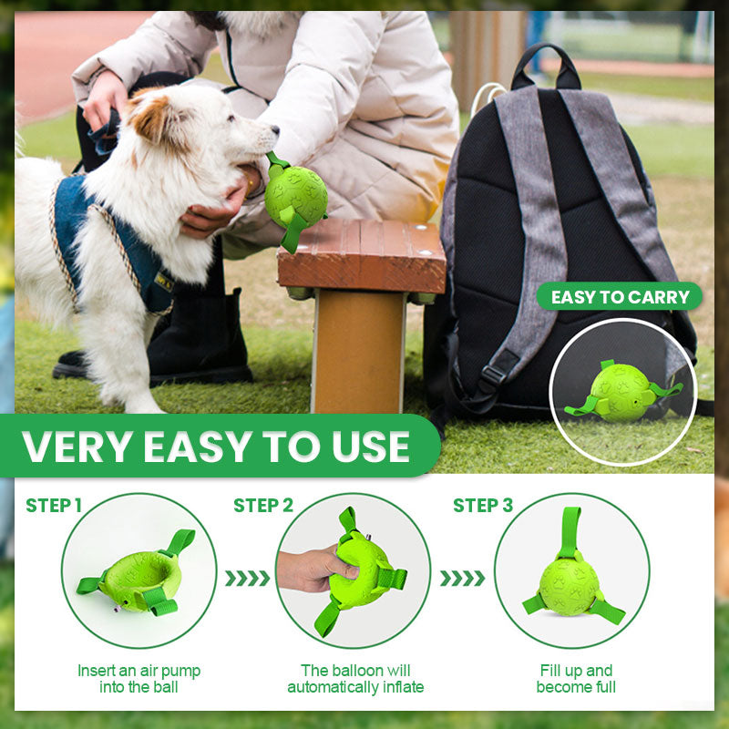 🐾Pet Rubber Webbing Toy Ball