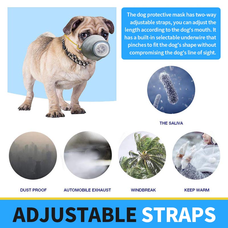 🐾Pet Air Filtration Mask for Dog