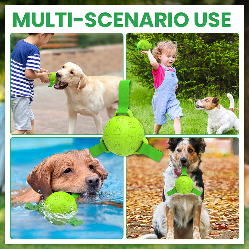 🐾Pet Rubber Webbing Toy Ball