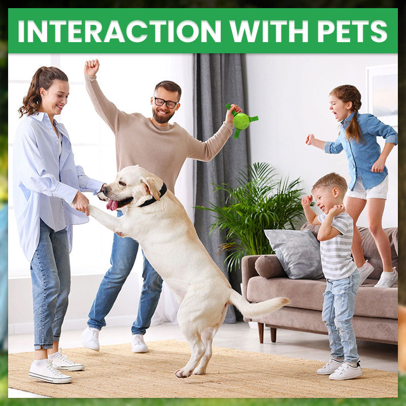 🐾Pet Rubber Webbing Toy Ball