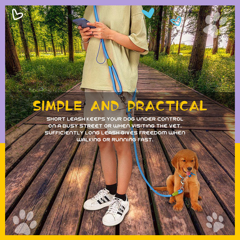 🐾Hands Free Dog Leashes
