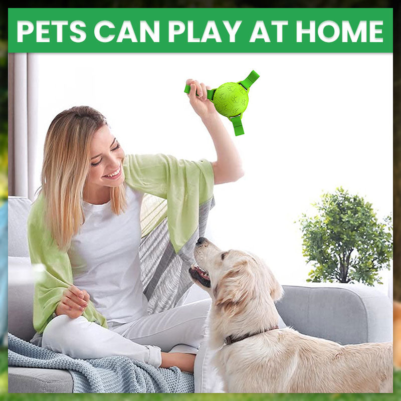 🐾Pet Rubber Webbing Toy Ball