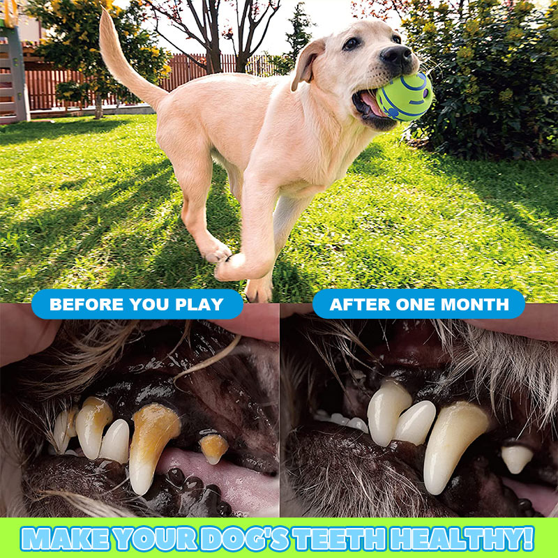 🐾Pet Teething Self-Healing Ball