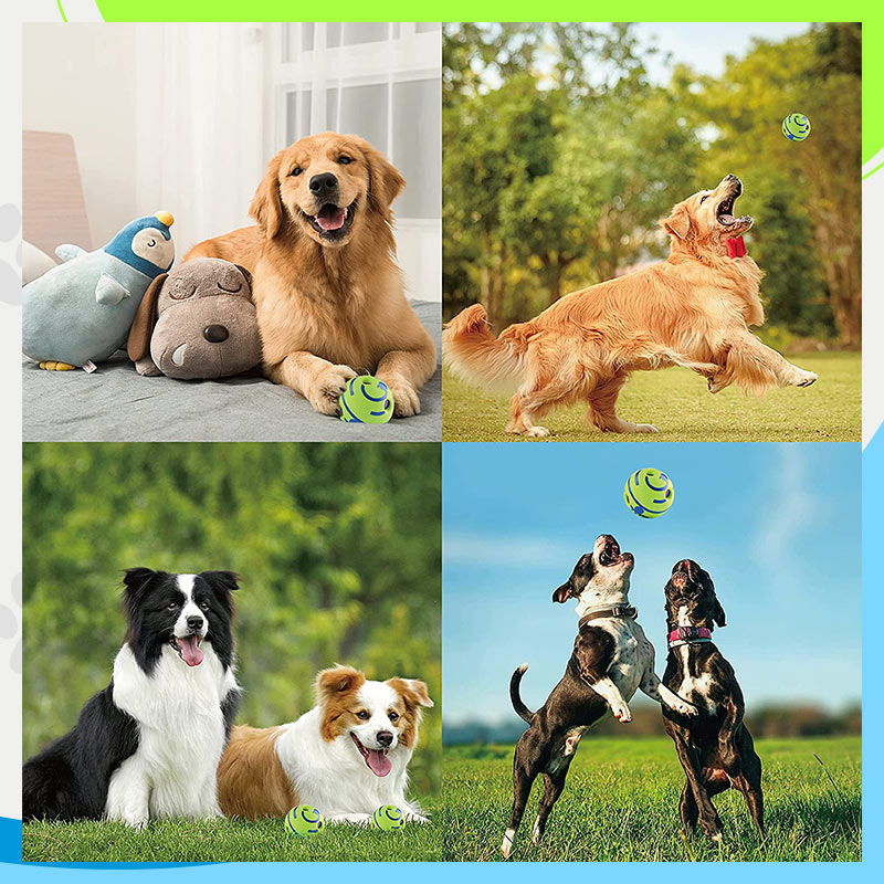 🐾Pet Teething Self-Healing Ball