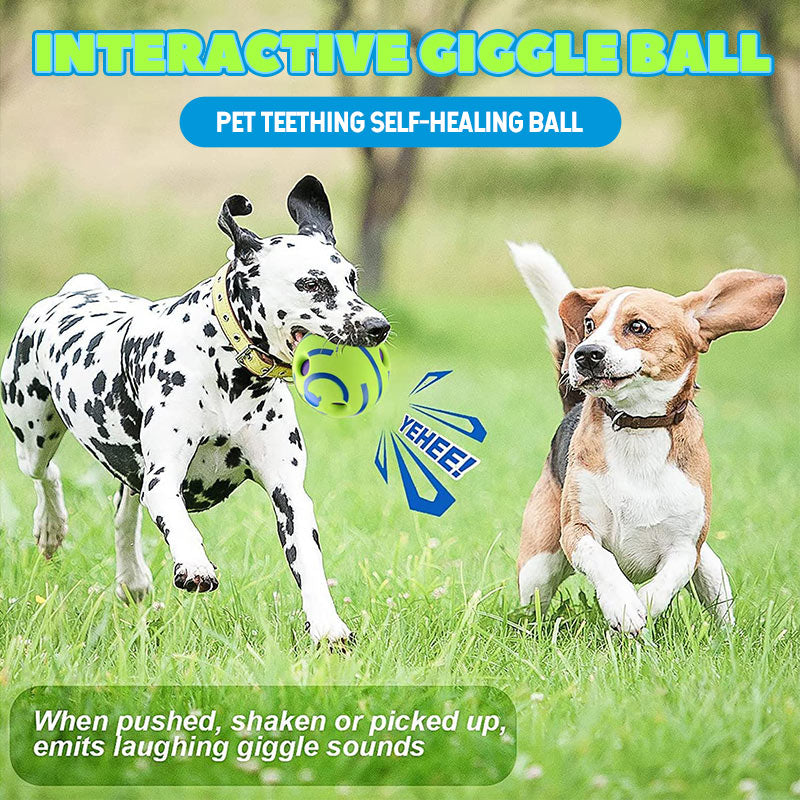 🐾Pet Teething Self-Healing Ball