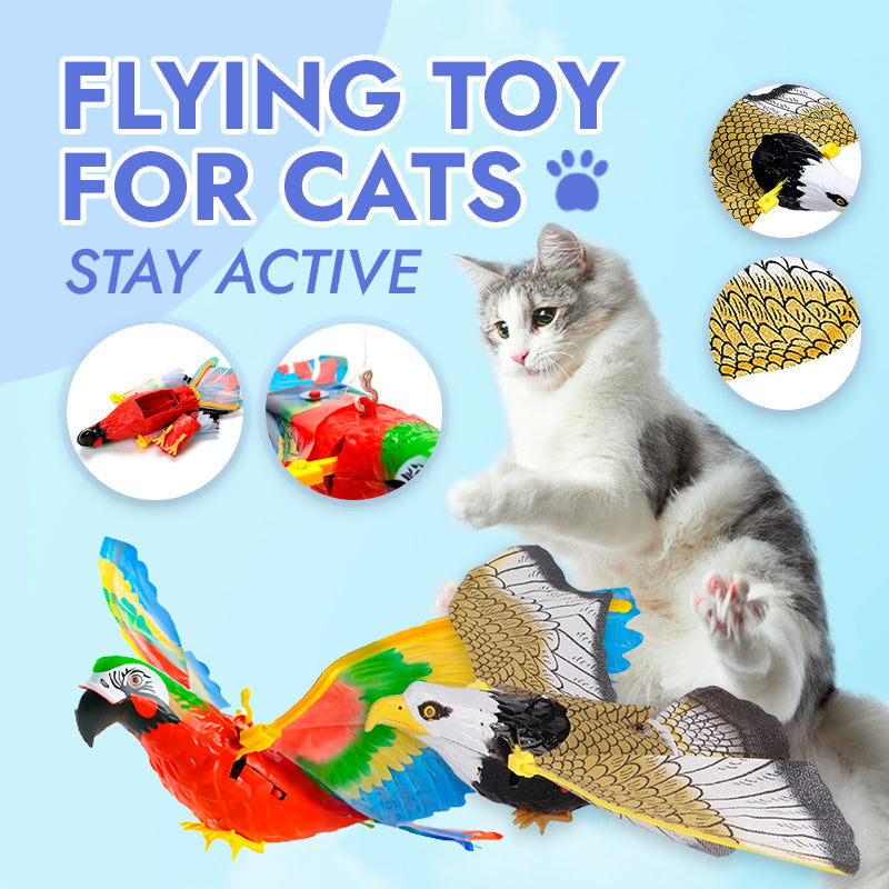 🐾Cat Flying Toy
