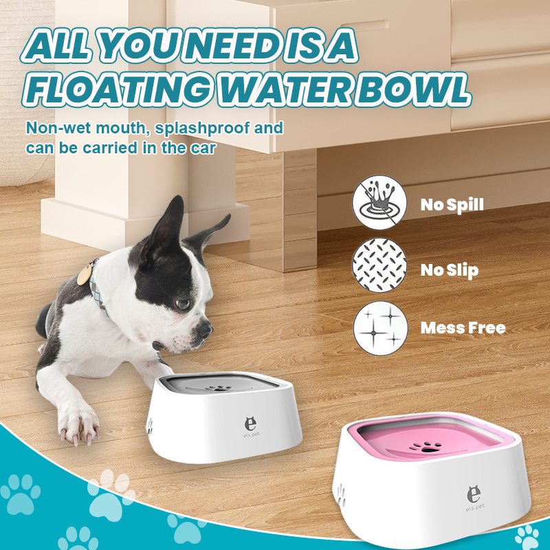 🐾Zero Splash Dog Water Bowl – OWOWPET