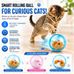 🐱 Smart Interactive Cat Ball – Play, Chase & Discover! 🐭✨🎾