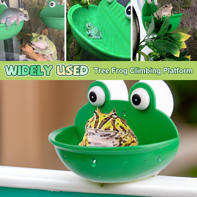 🐸Tree Frog Climbing Platform