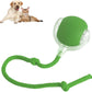 😻💧Smart Chasing Pet Toy Ball🐶✨