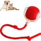 😻💧Smart Chasing Pet Toy Ball🐶✨