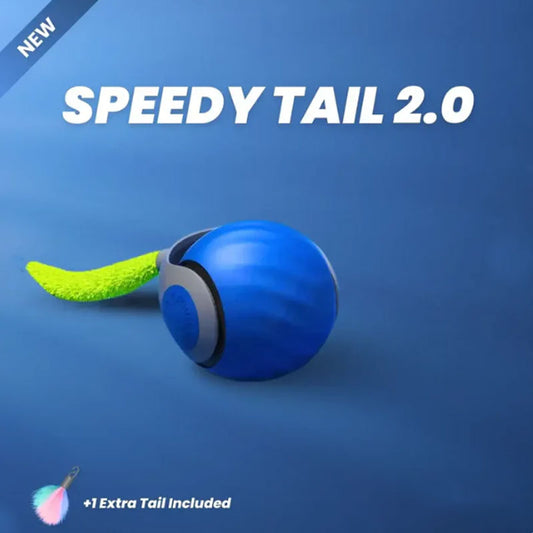 🐾SPEEDY TAIL 2.0