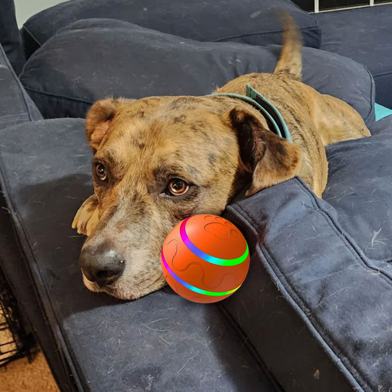 🐾Pet Virus Bouncing Ball