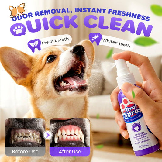 🐾Cat & Dog Dental Cleaning Spray