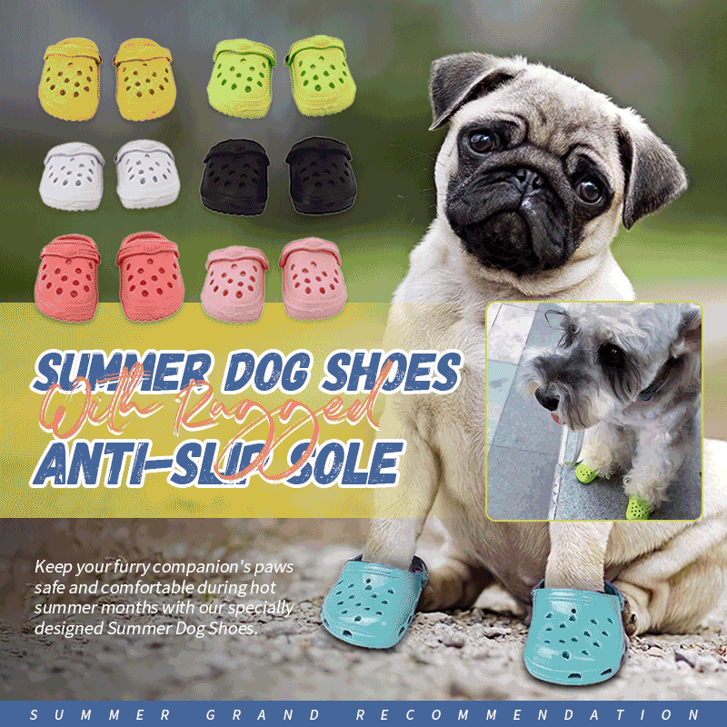 🐾Summer Dog Shoes with Rugged Anti-Slip Sole