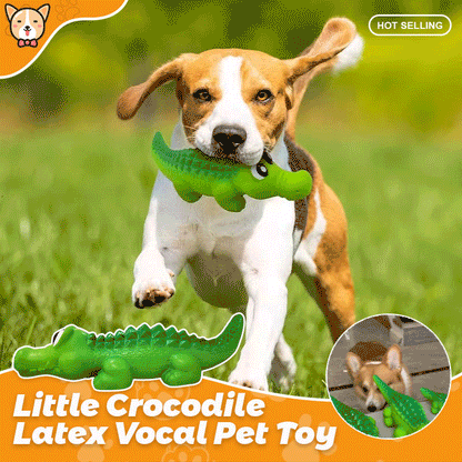 🐾Little Crocodile Latex Vocal Pet Toy