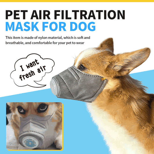 🐾Pet Air Filtration Mask for Dog