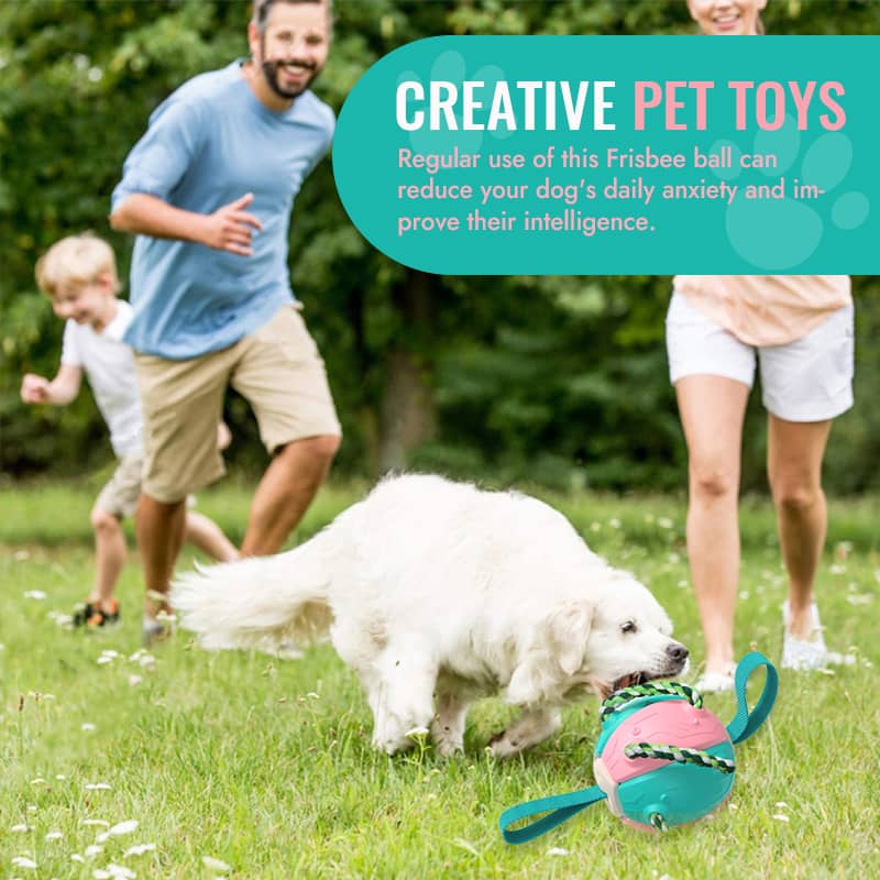 🐾Interactive Flying Disk Ball Dog Toy – OWOWPET