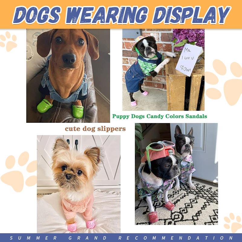🐾Summer Dog Shoes with Rugged Anti-Slip Sole