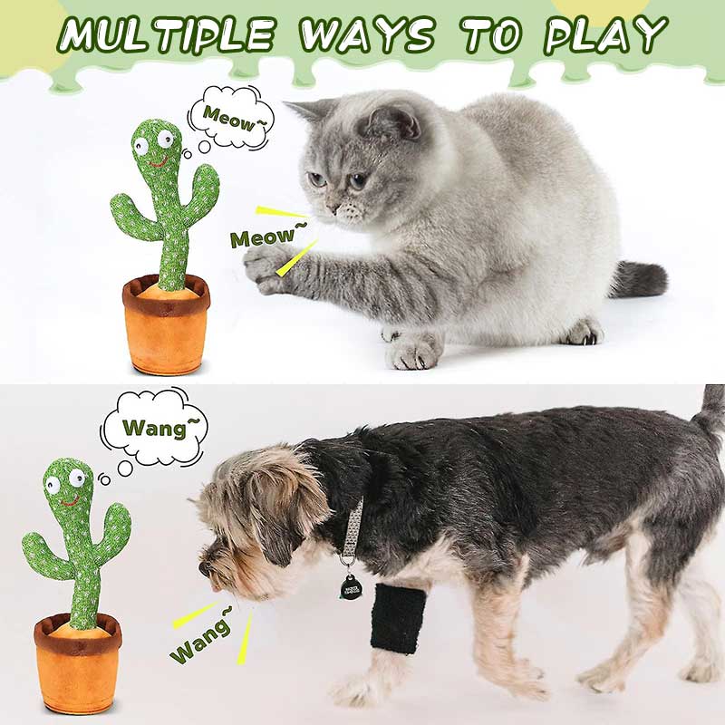🐾Talking Cactus Pet Toy