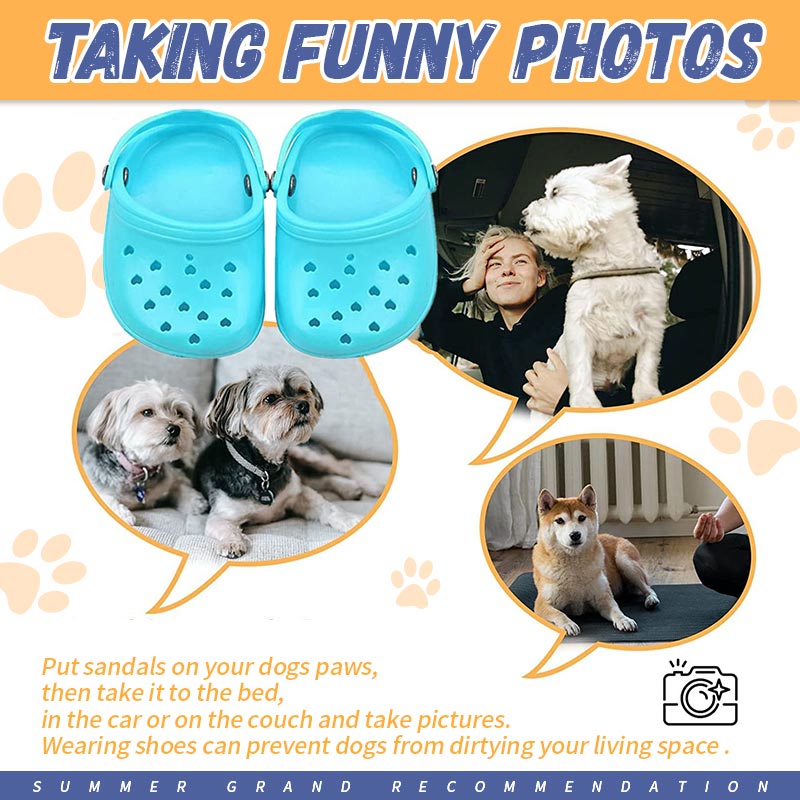 🐾Summer Dog Shoes with Rugged Anti-Slip Sole