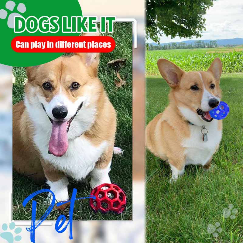 🐾Pet Hollow Ball