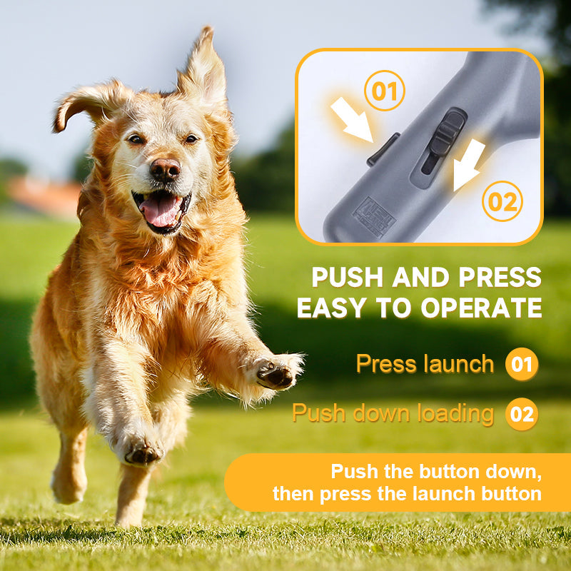 🐾Pet Treat Launcher