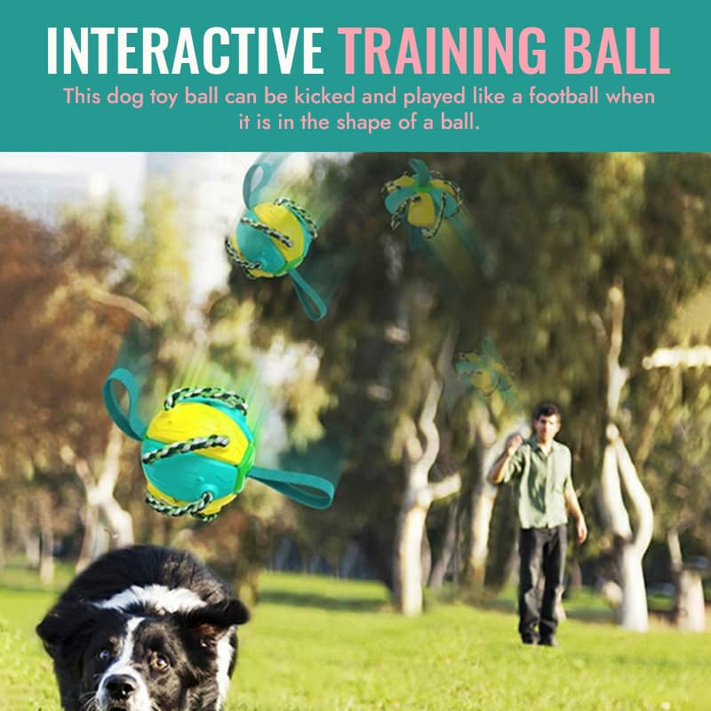 Interactive Flying Disk Ball Dog Toy Flying Discs Football Toys With Grab  Tabs Pet Toy Flying Saucer Ball For Dogs Interactive Outdoor Flying Ball Dog