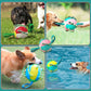 🐾Interactive Flying Disk Ball Dog Toy