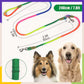 🐾Hands Free Dog Leashes